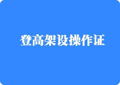 日本老女人BB登高架设操作证